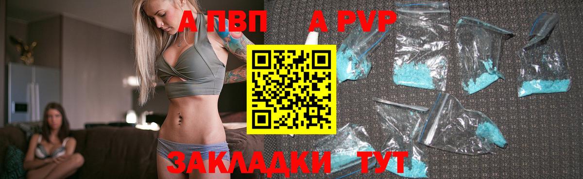 A PVP СК КРИС Сокол