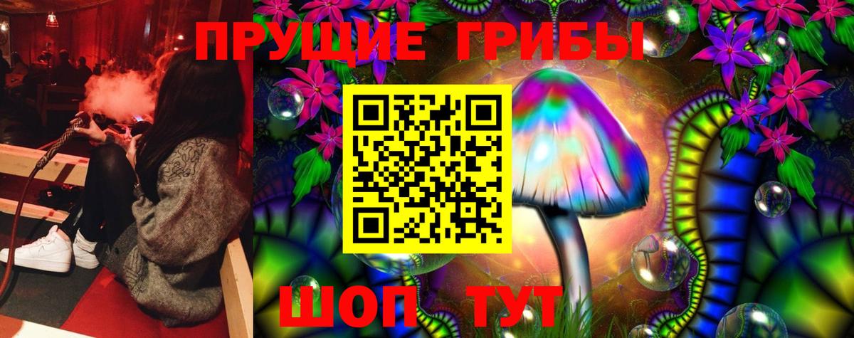 Сокол  Галлюциногенные грибы мухоморы  Псилоцибиновые грибы Psilocybe  Вход с VPN 